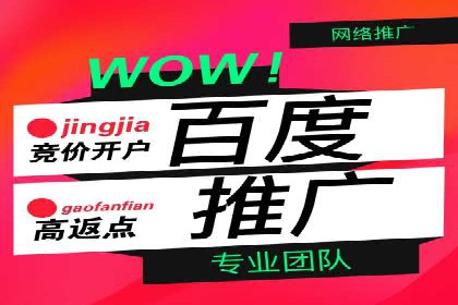 百度推广实战：案例分享与数据解读